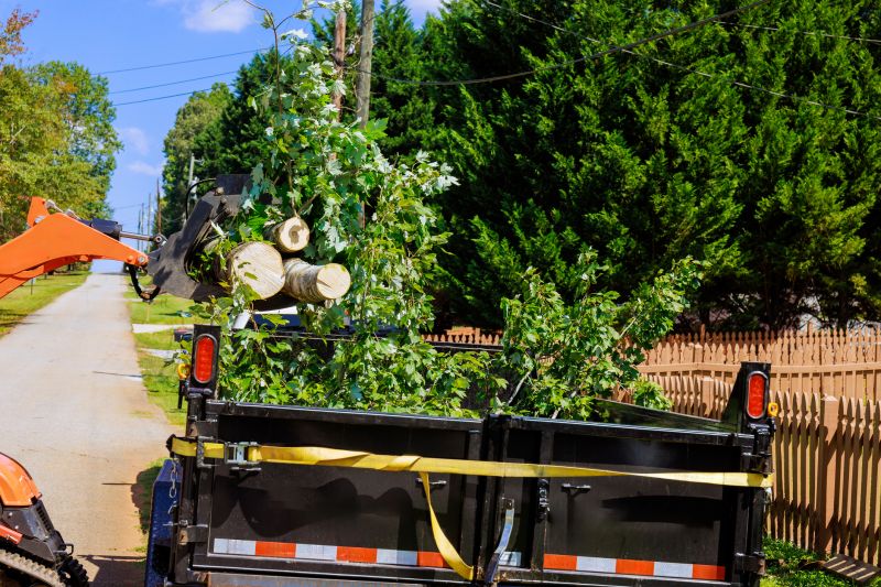 Cherry Tree Removal