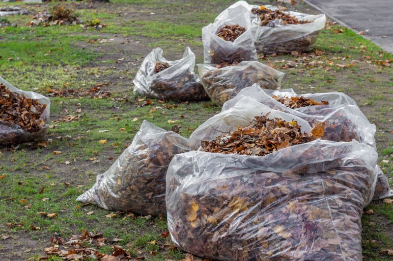 Leaves Being Collected