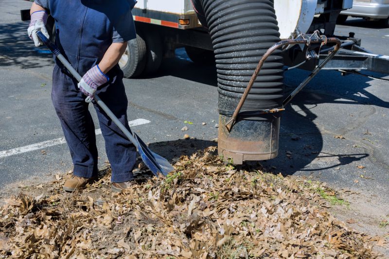 Leaves Disposed of Properly