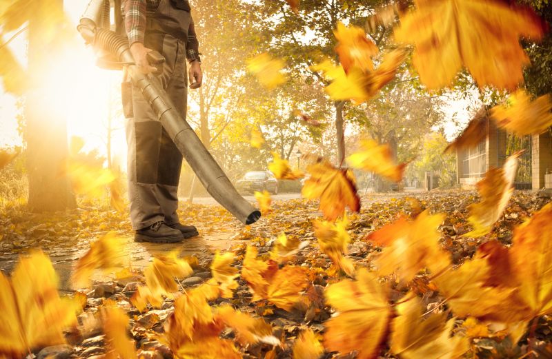 Leaf Blowing Techniques