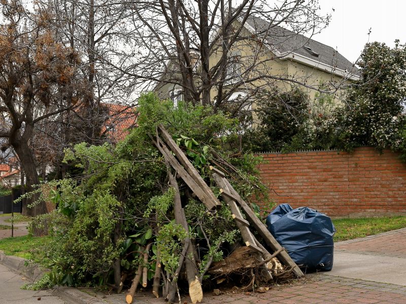 Debris Cleanup