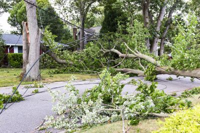 Storm Damage Cleanup