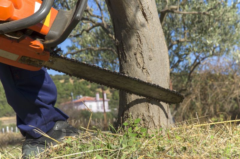 Land Clearing Operations