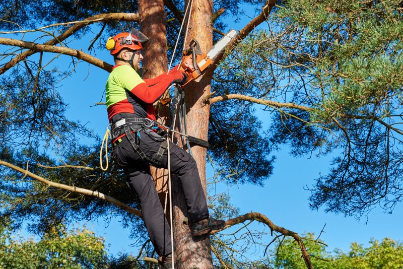 Safety Gear and Precautions