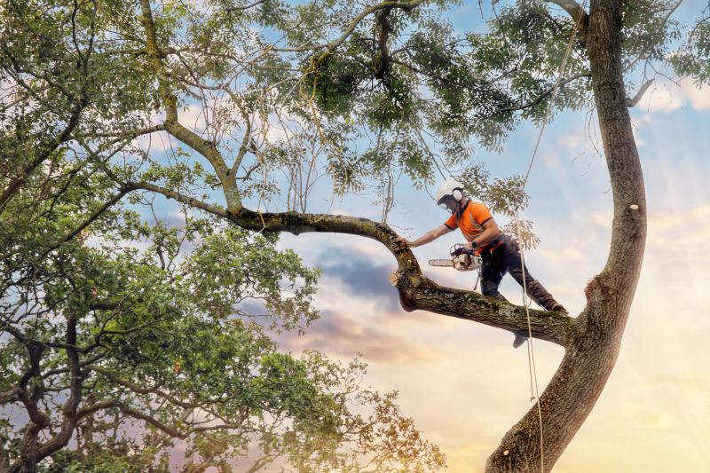 Tree Health Assessment
